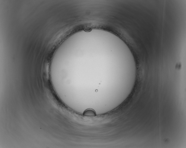 X0000116650022200912291626