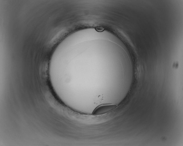 X0000116650023200912291626