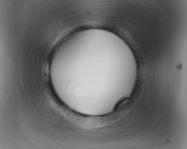 X0000116650024200912291626