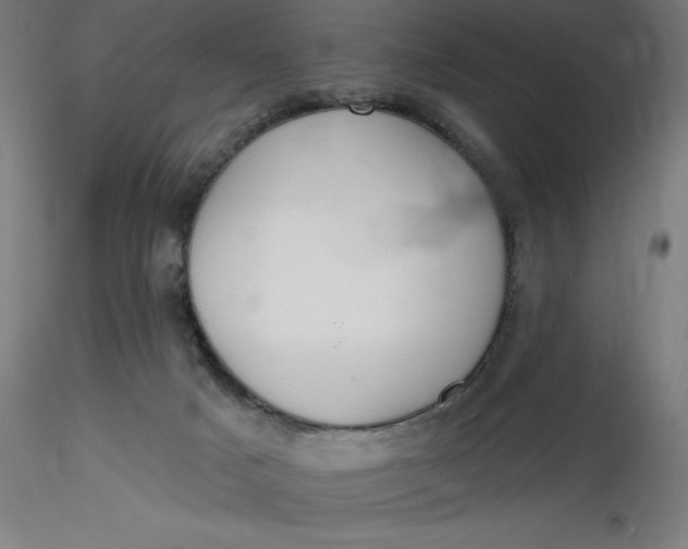 X0000116650025200912291626