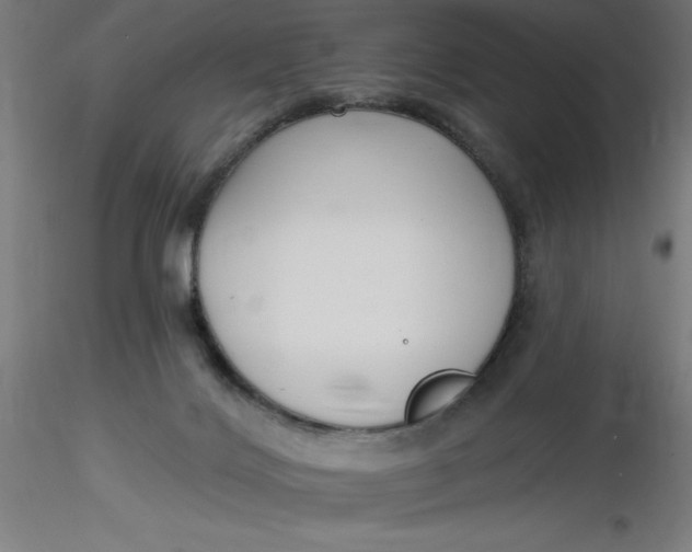 X0000116650028200912291626