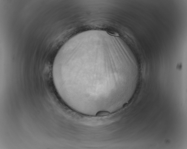 X0000116650029200912291626