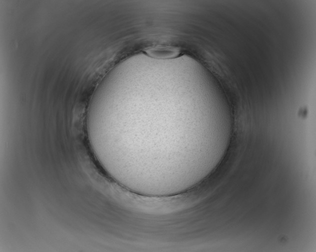 X0000116650030200912291626