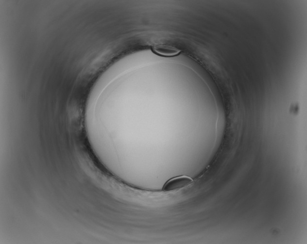 X0000116650031200912291626