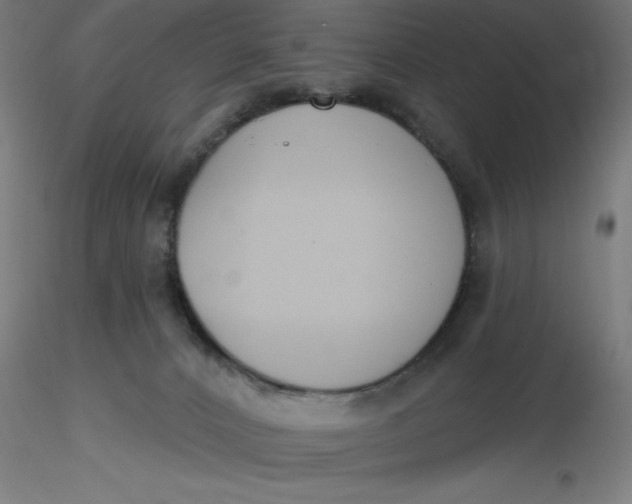 X0000116650032200912291626