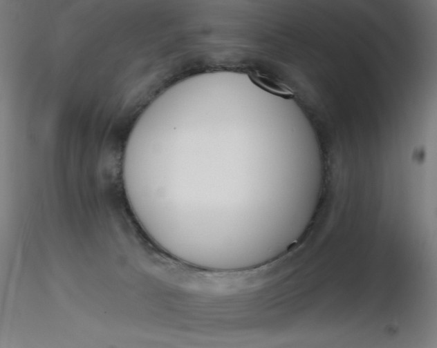 X0000116650033200912291626