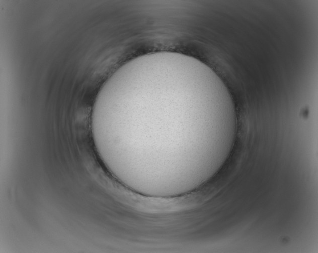 X0000116650034200912291626