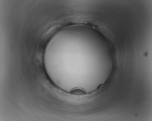 X0000116650035200912291626