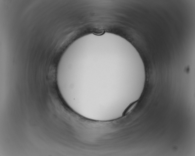 X0000116650036200912291626