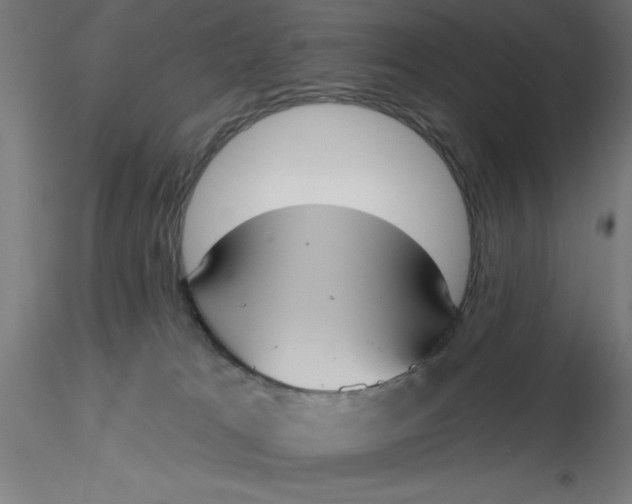 X0000116650037200912291626