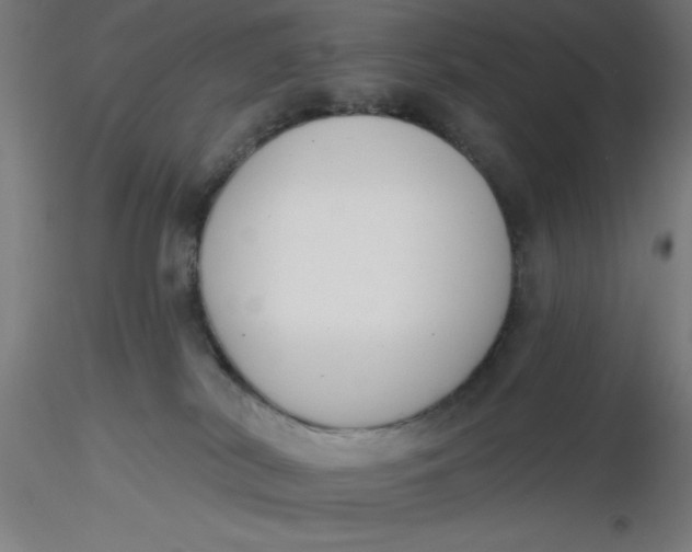 X0000116650038200912291626