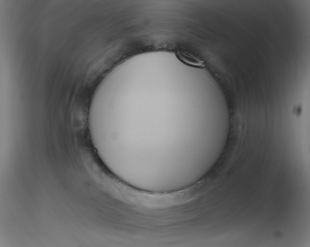 X0000116650039200912291626