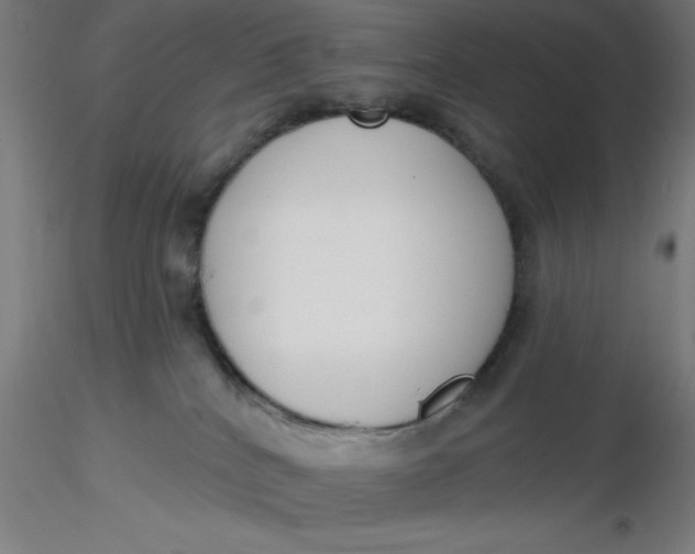 X0000116650040200912291626