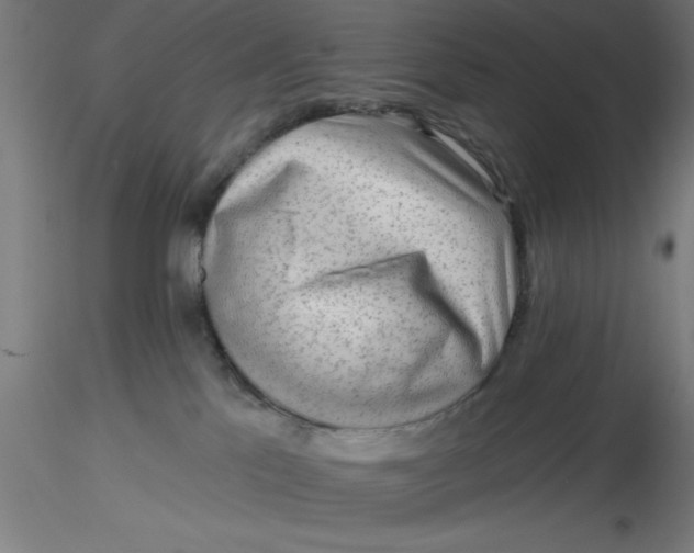 X0000116650041200912291626