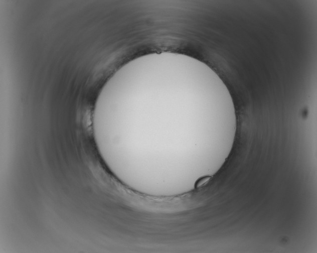 X0000116650042200912291625