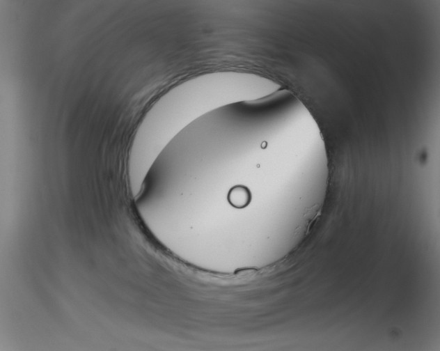 X0000116650043200912291625