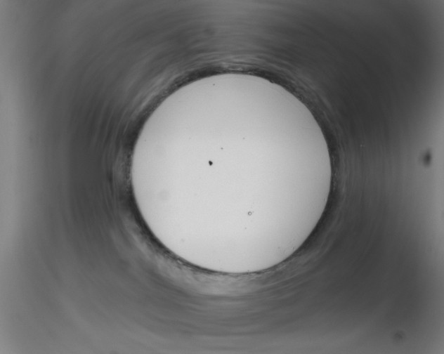 X0000116650044200912291625