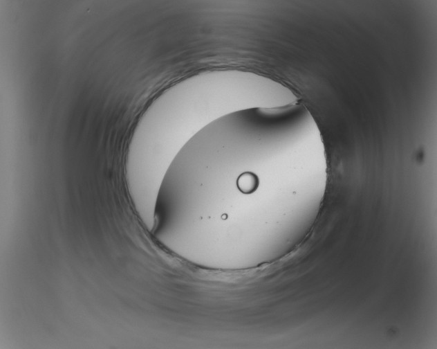 X0000116650045200912291625