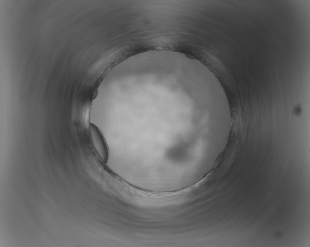 X0000116650047200912291625