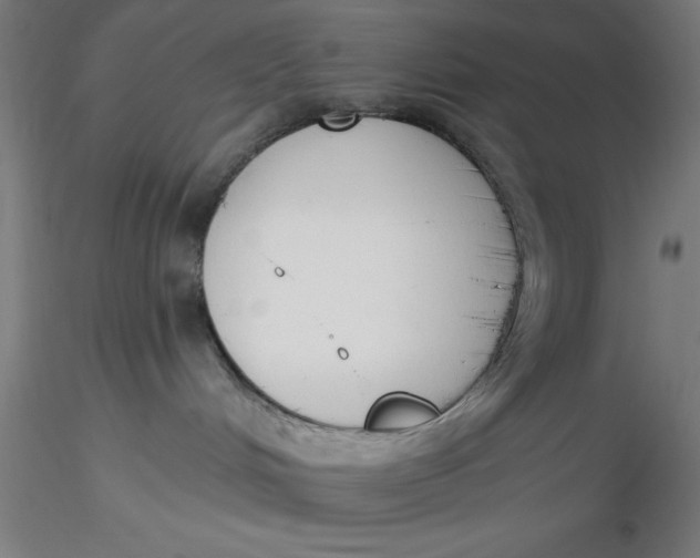 X0000116650048200912291625