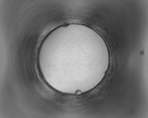 X0000116650049200912291624