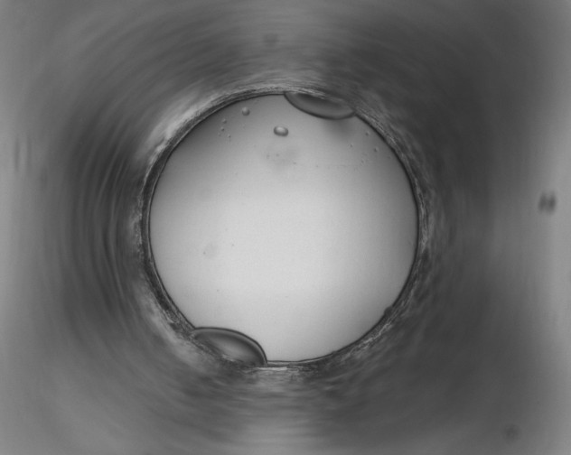 X0000116650050200912291624