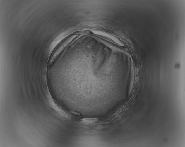 X0000116650051200912291624