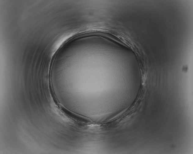 X0000116650052200912291624