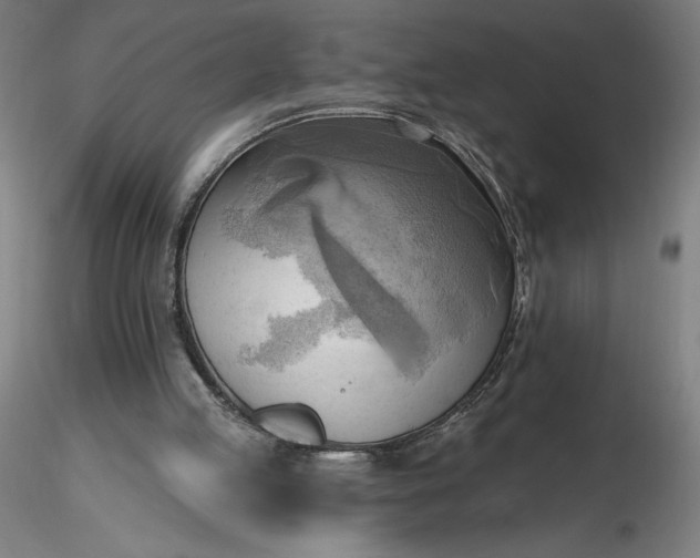 X0000116650053200912291625