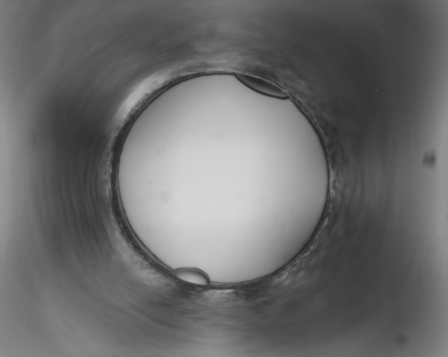 X0000116650054200912291625