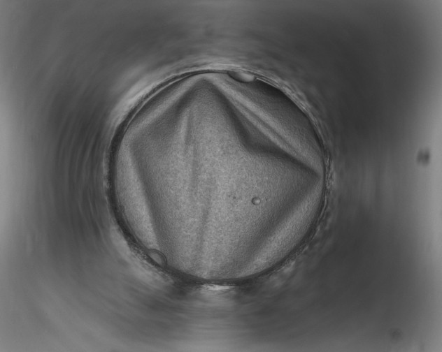 X0000116650055200912291625