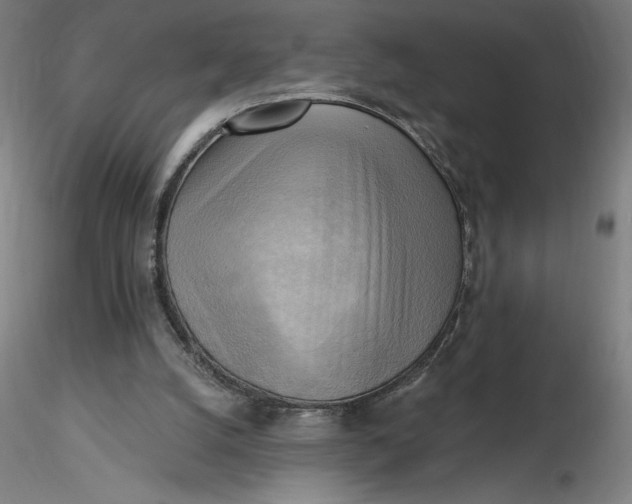 X0000116650056200912291625