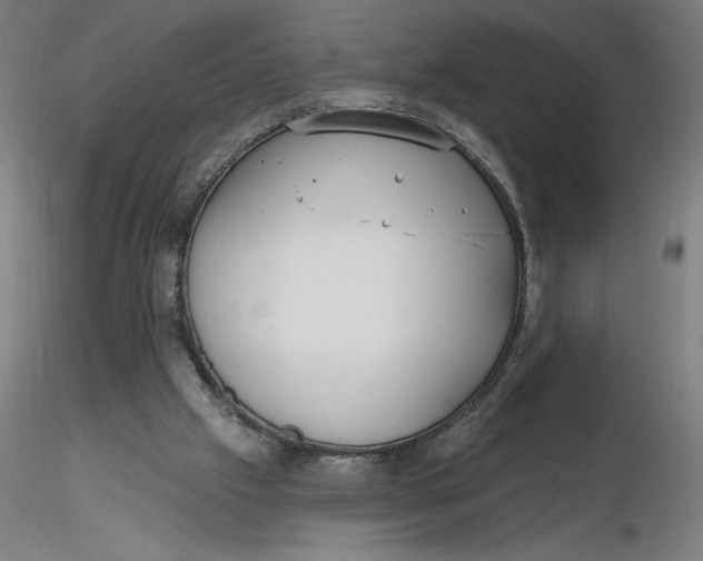 X0000116650057200912291625