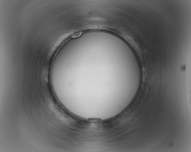 X0000116650060200912291625