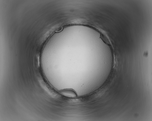 X0000116650061200912291625