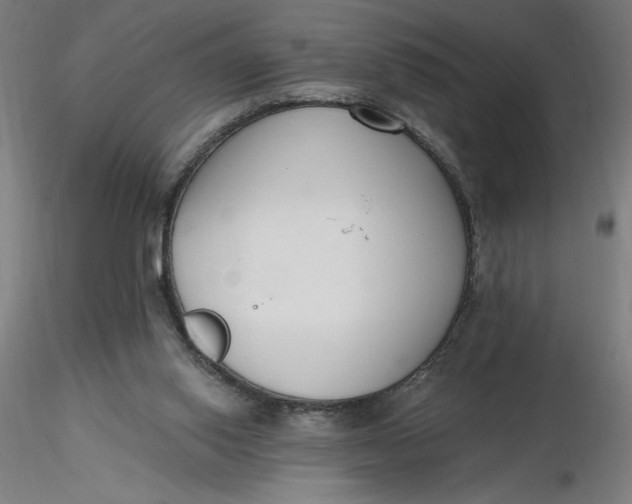 X0000116650062200912291625