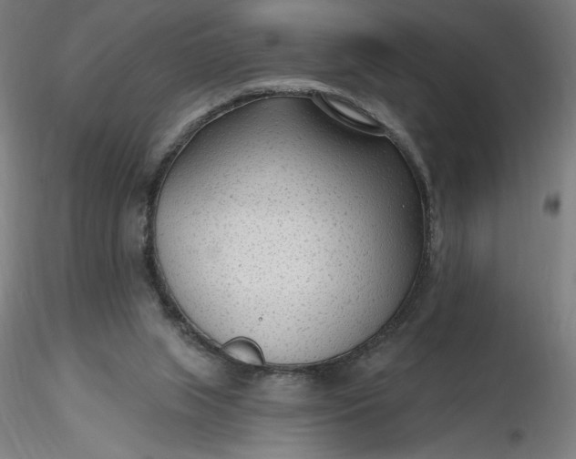 X0000116650063200912291625