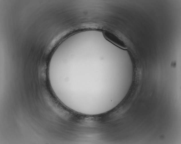 X0000116650064200912291625