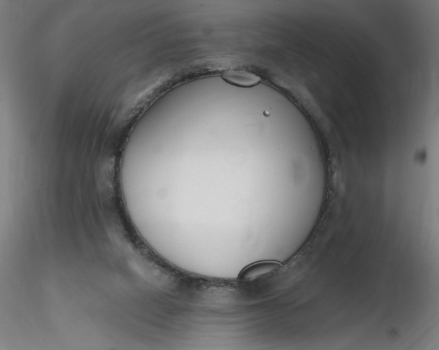 X0000116650066200912291625