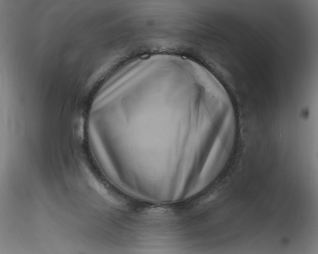 X0000116650067200912291625