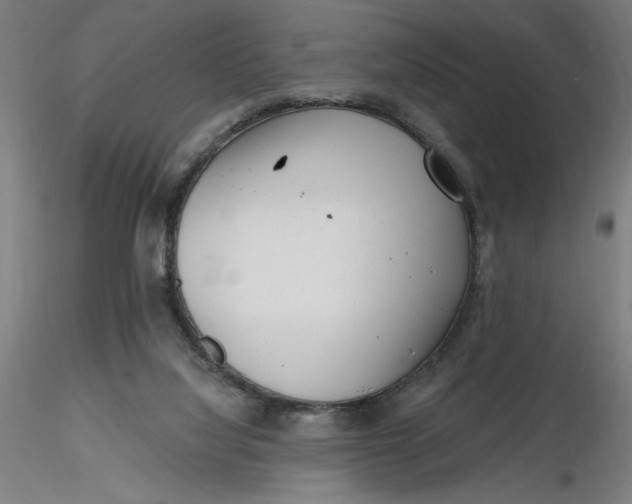 X0000116650068200912291625