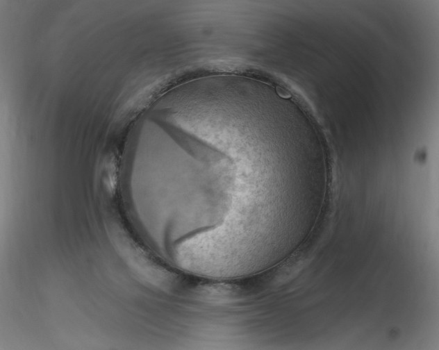 X0000116650069200912291625