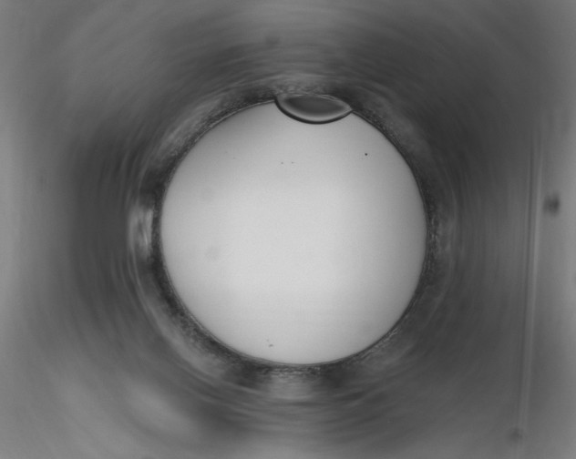 X0000116650070200912291625