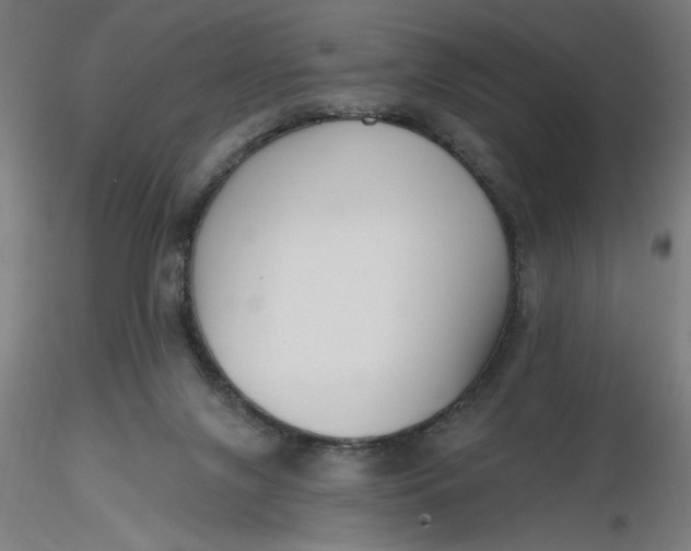 X0000116650071200912291625