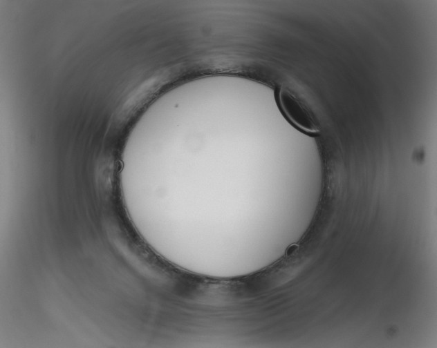 X0000116650072200912291625