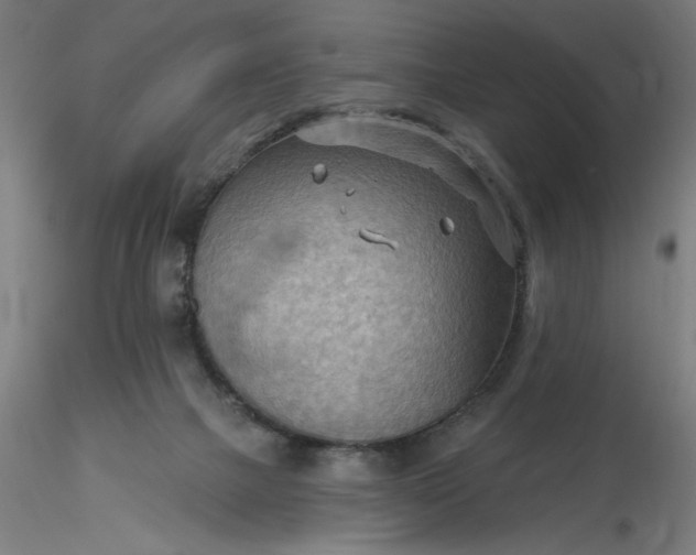 X0000116650073200912291625