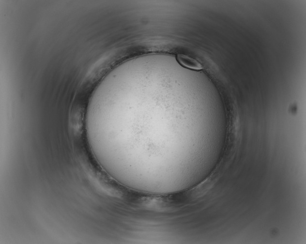 X0000116650074200912291625