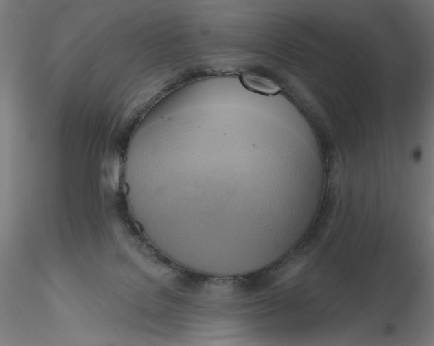 X0000116650076200912291625