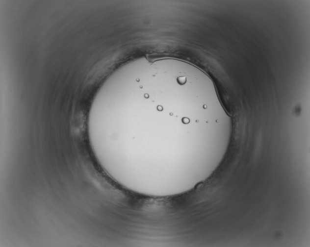 X0000116650077200912291625