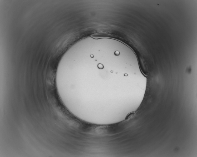 X0000116650078200912291625